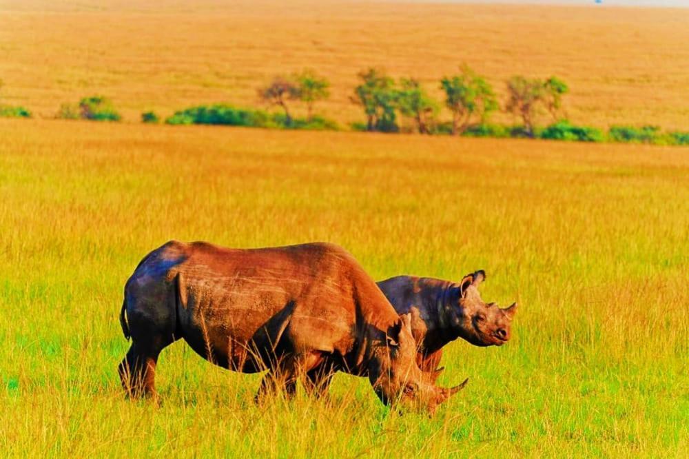 Bed and Breakfast Semadep Safari Camp Sekenani Экстерьер фото