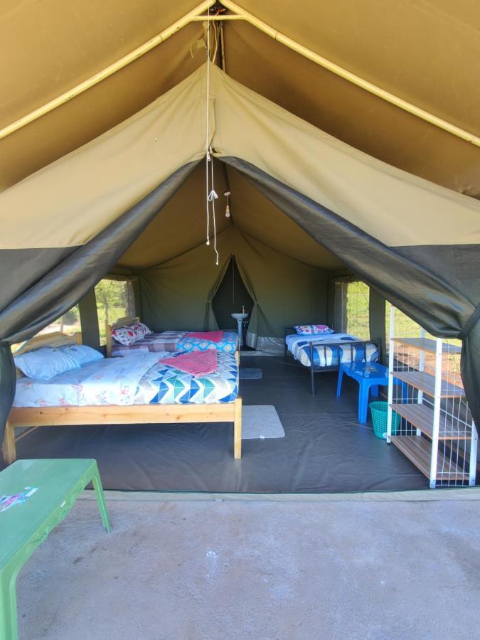 Bed and Breakfast Semadep Safari Camp Sekenani Экстерьер фото